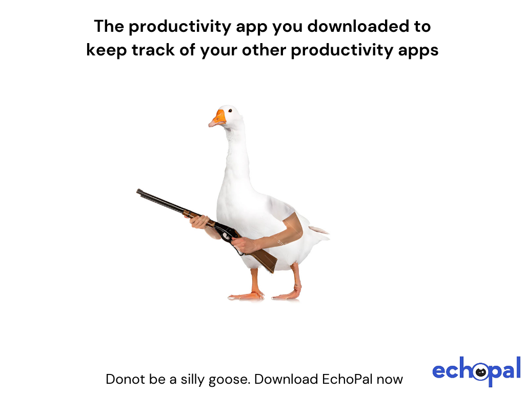 Package Label: "EchoPal explained in a single picture"